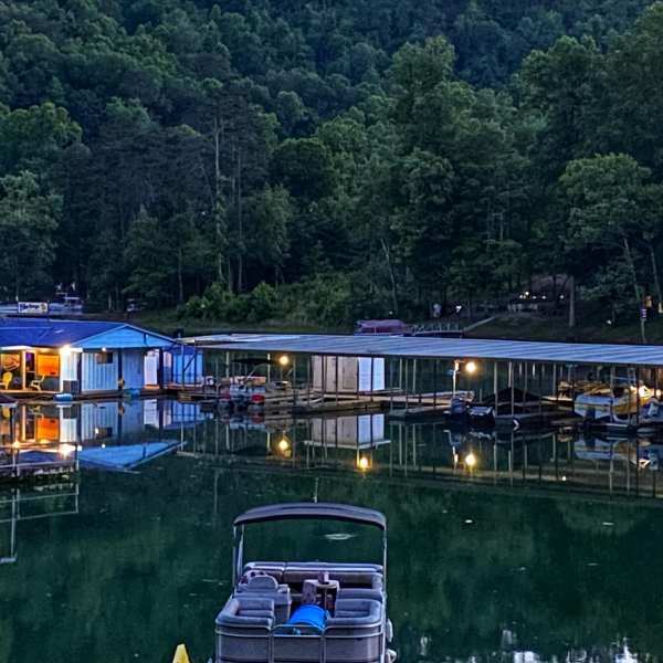 Drone aerial looking south down the cove. Covered dock in foreground, moored houseboats spread across the water, wooded hills on both sides. Winter/early spring — trees bare.